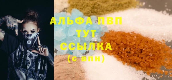 индика Нея