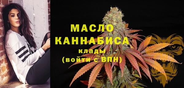 индика Нея