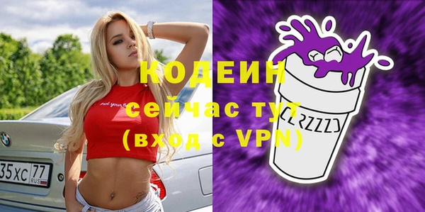 индика Нея