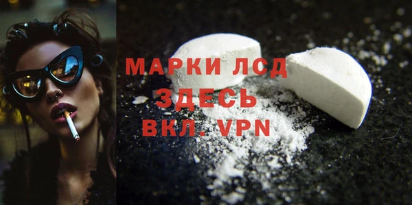 индика Нея