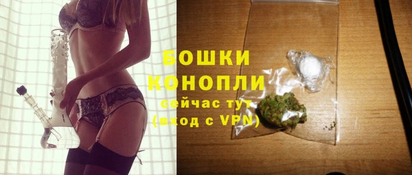 индика Нея